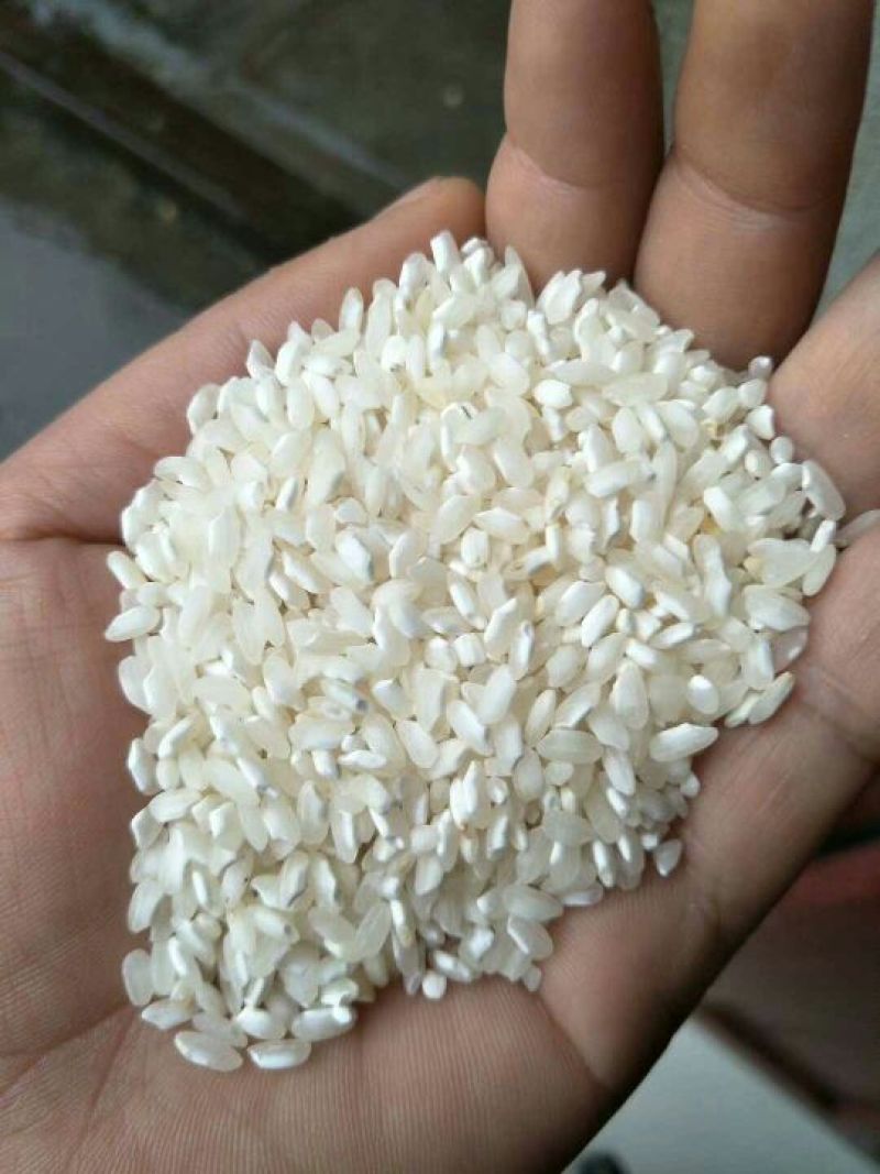 湖南大米食堂专用米无黄无黑无异味大量现货保质保量