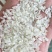 湖南大米食堂专用米无黄无黑无异味大量现货保质保量