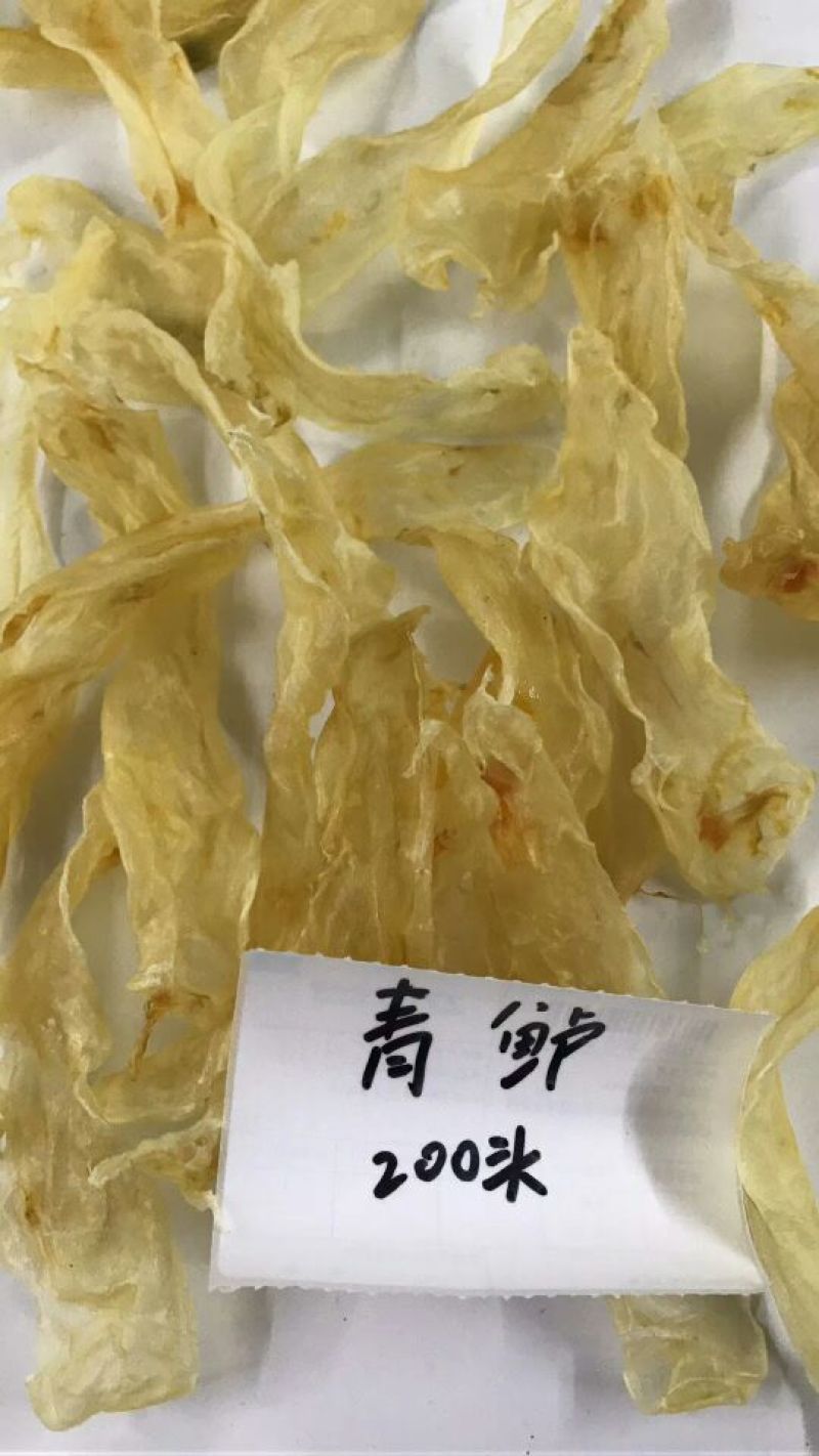 鱼鳔