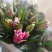 昆明斗南花市鲜花批发招代理一件代发