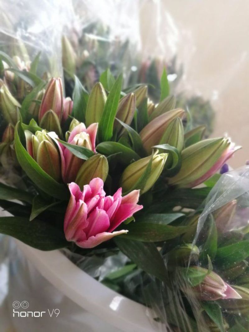 昆明斗南花市鲜花批发招代理一件代发