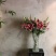 昆明斗南花市鲜花批发招代理一件代发