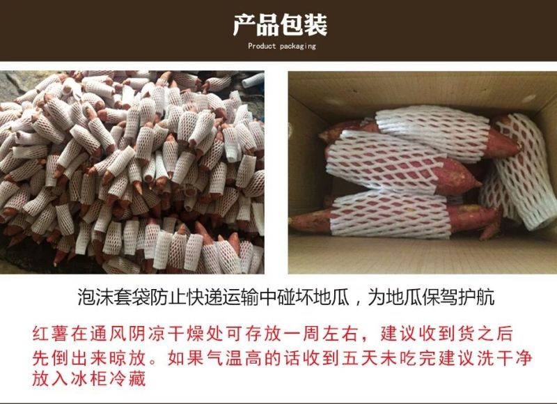 福建六鳌沙地红薯大红叶地瓜五斤装大果包邮批发一件代发