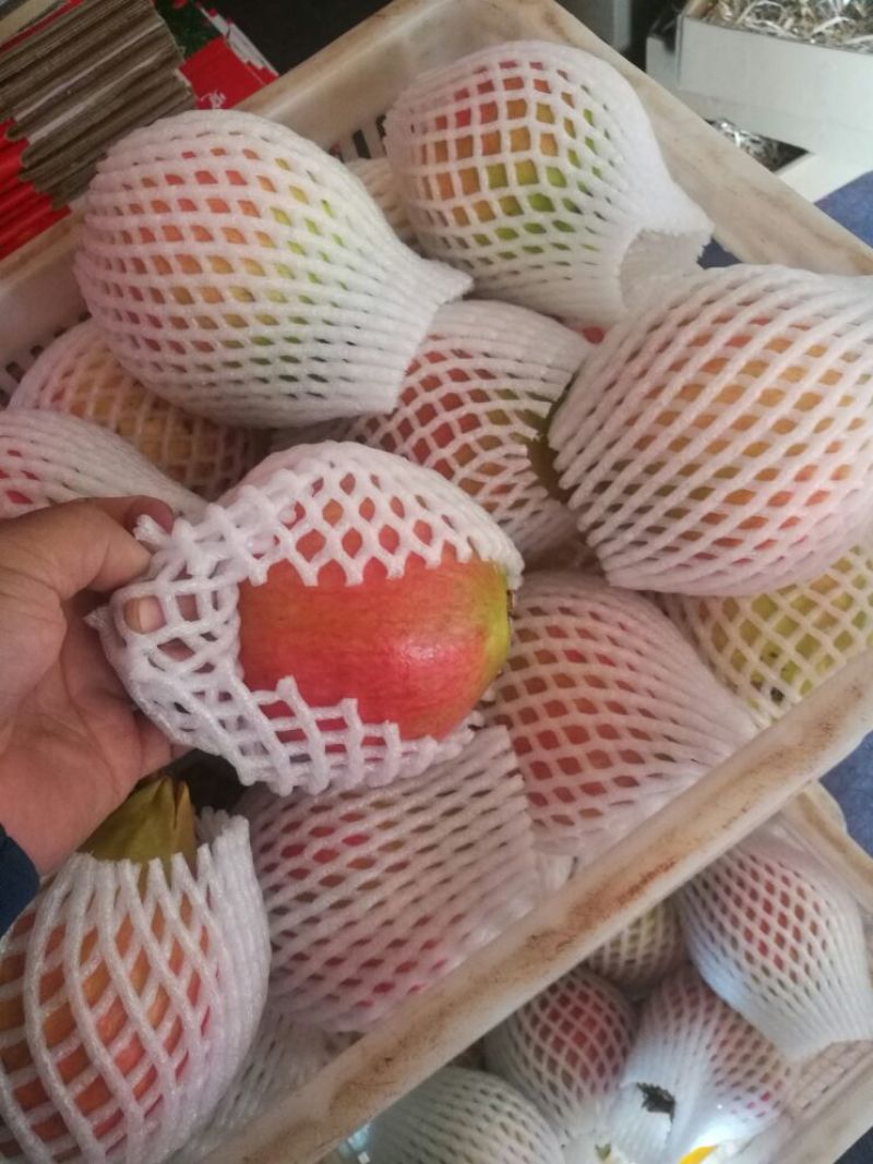 软籽石榴