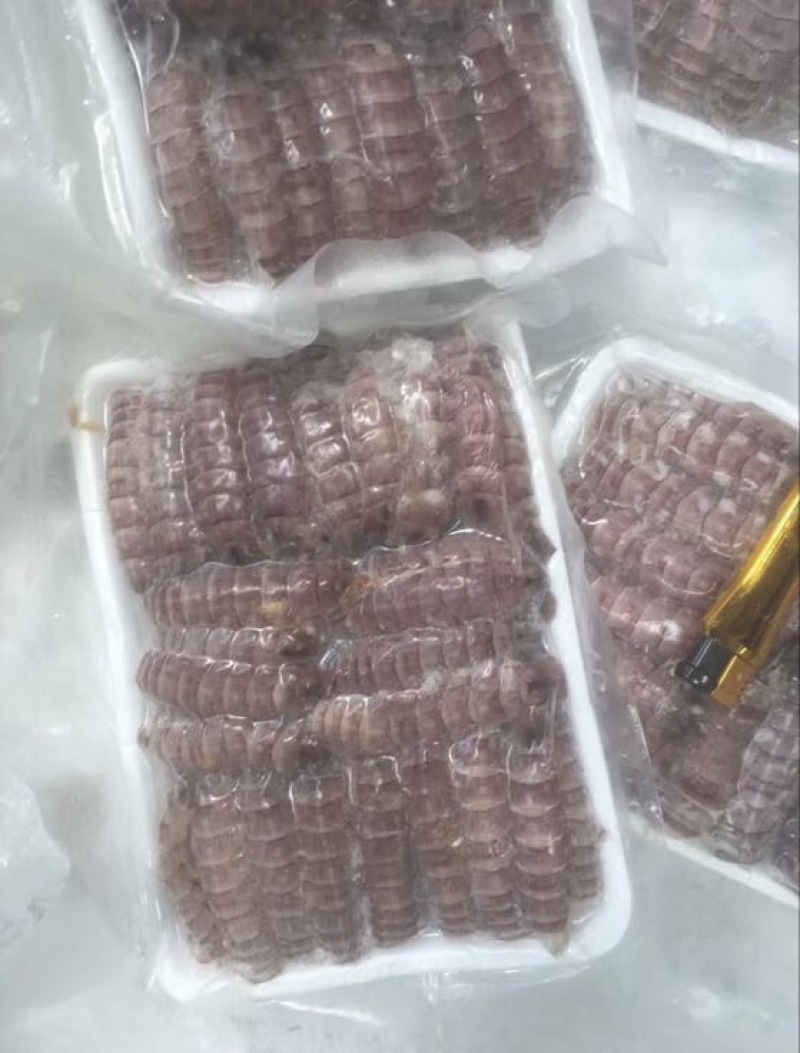 皮皮虾冻虾