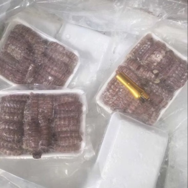 皮皮虾冻虾