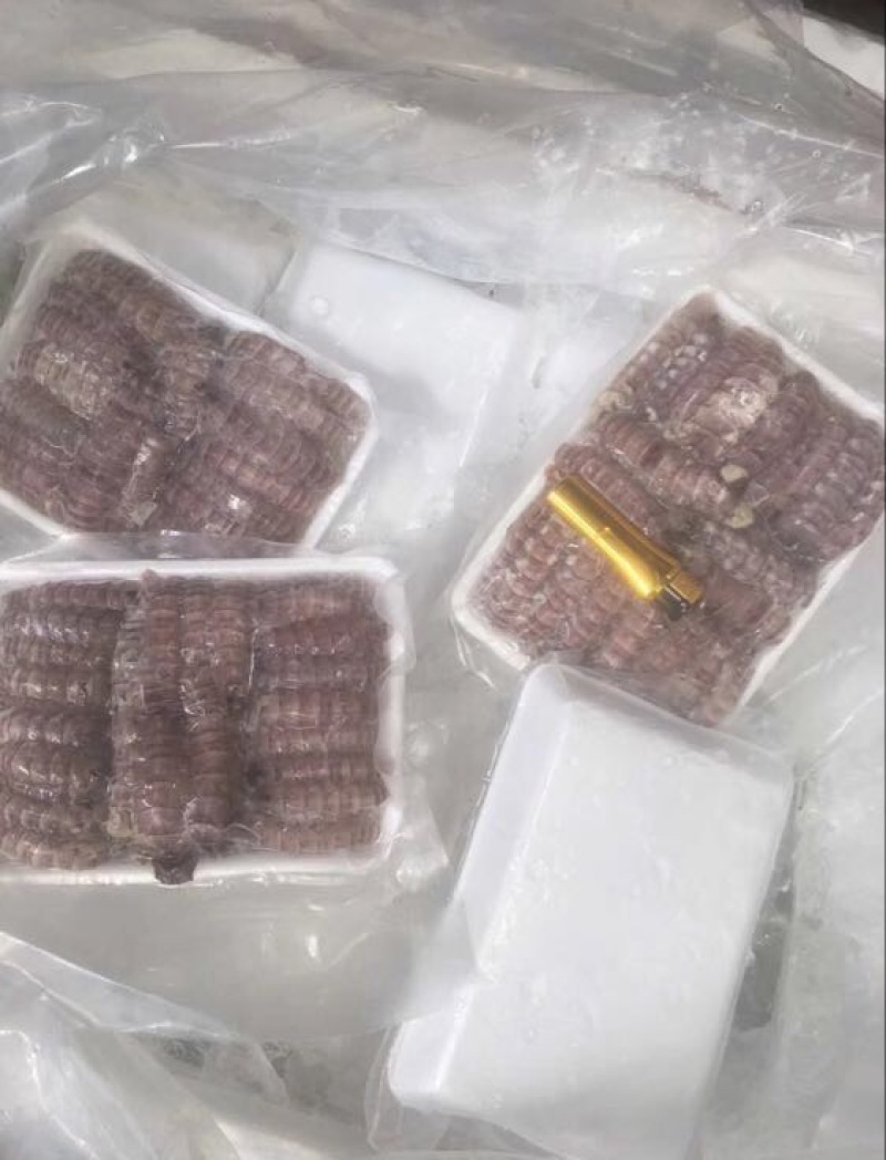 皮皮虾冻虾
