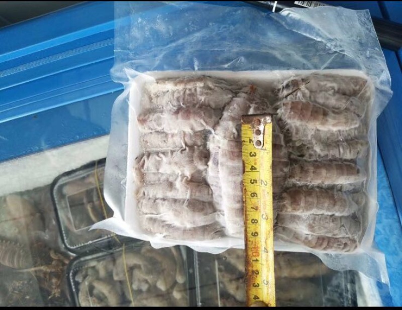 皮皮虾冻虾