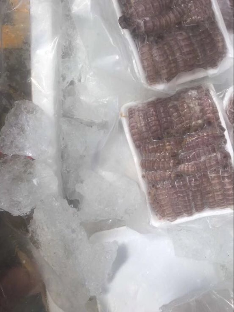 皮皮虾冻虾
