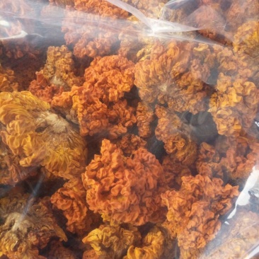 优质椴木金耳，无霉无虫，开辦适中，颜色靓丽，自产自销，一