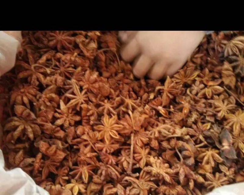 秋大料散装