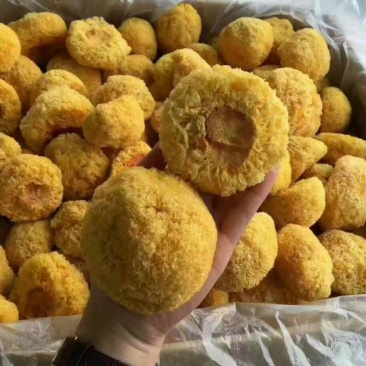 丑耳，是银耳中优良品种
