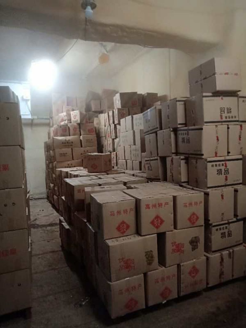 广东高州储良龙眼桂圆干2.6规格以上，五斤包邮