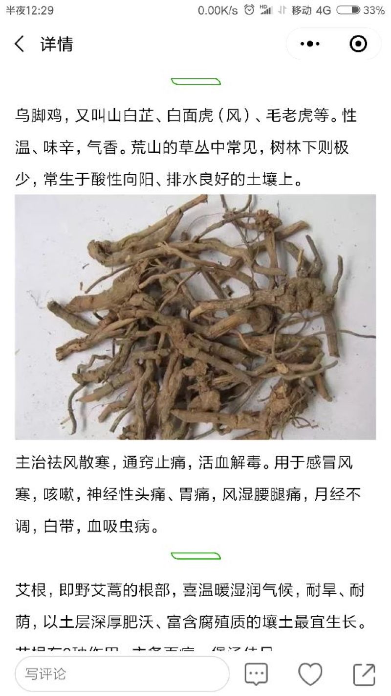 白面风（别名：山白芷、白牛胆、乌脚鸡）