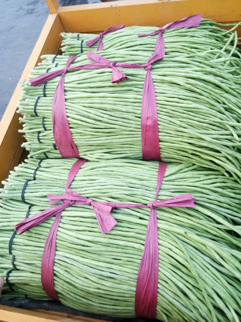 豆角，质量好价格便宜诚信第一专业代收各种蔬菜