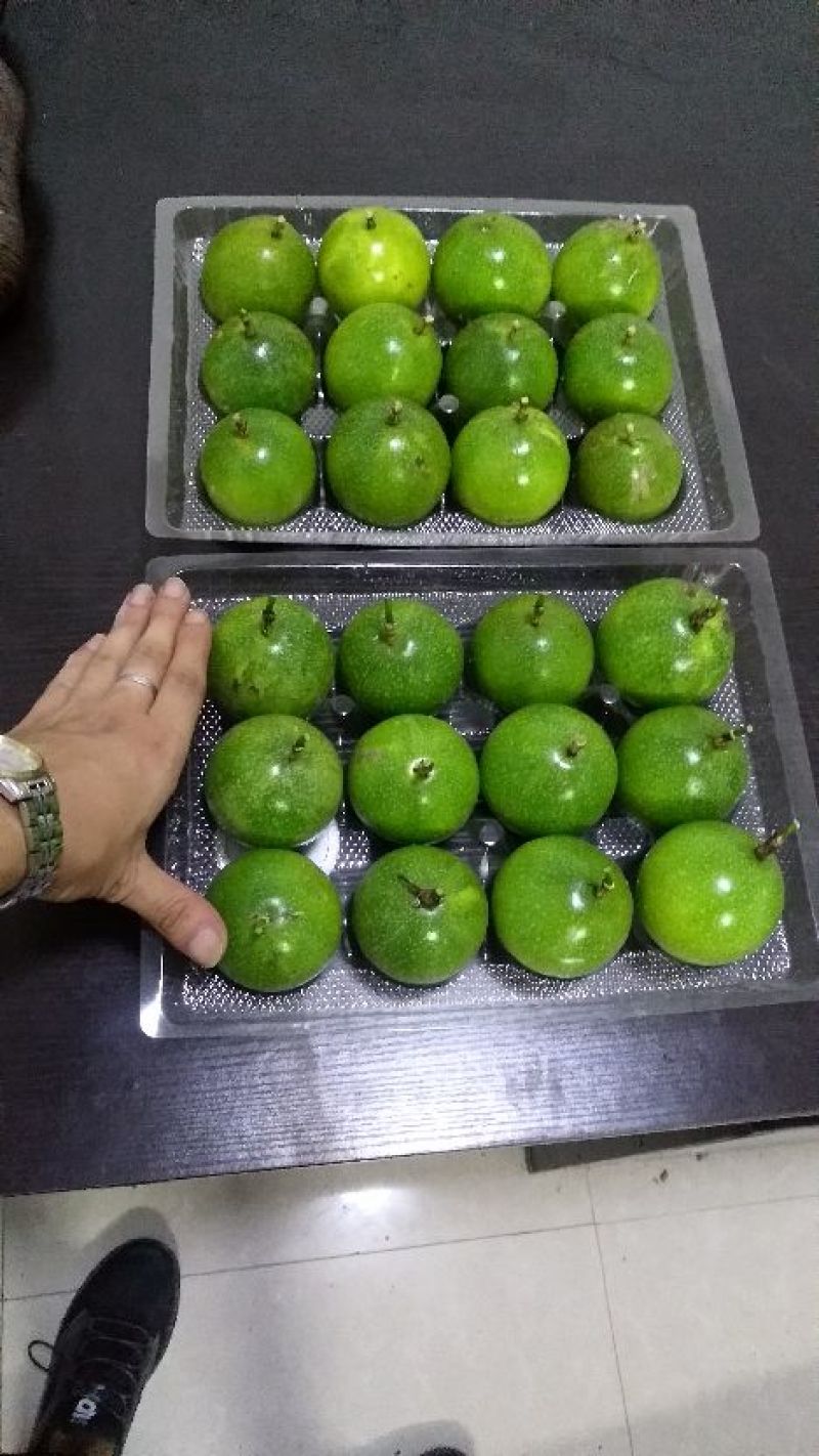 广西桂林大量供应批发【钦蜜九号】黄金百香果【爆甜/多汁】