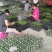 产地大量批发罗汉果（鲜果/干果）