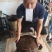 51斤洪湖野生甲鱼，几百年难得一见