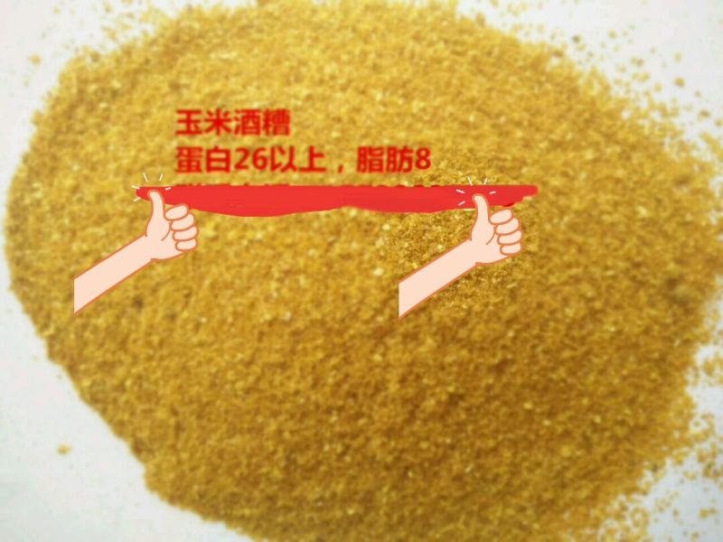 玉米酒糟