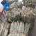 粽叶，箬叶，批发浙江！温州乐清粽叶，批发