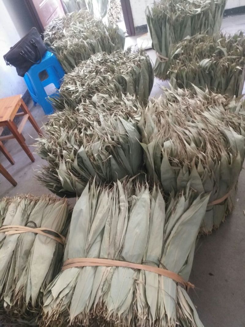 粽叶，箬叶，批发浙江！温州乐清粽叶，批发