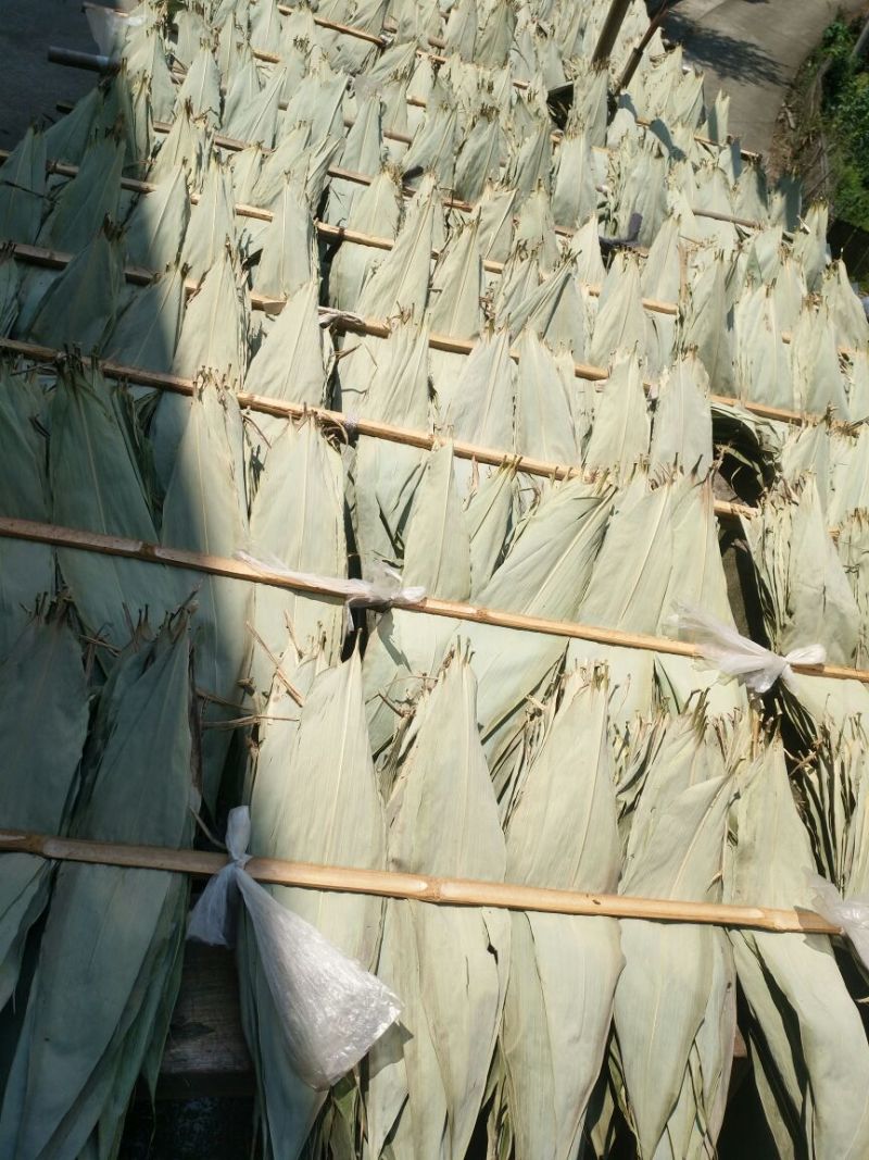 粽叶，箬叶，批发浙江！温州乐清粽叶，批发