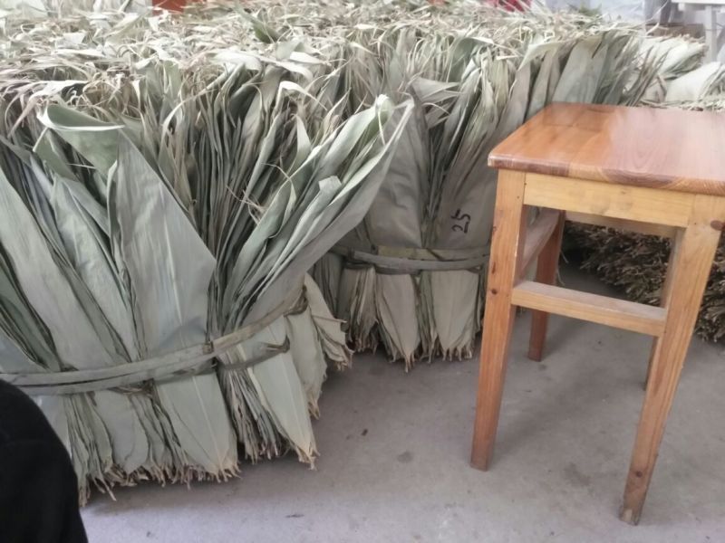 粽叶，箬叶，批发浙江！温州乐清粽叶，批发