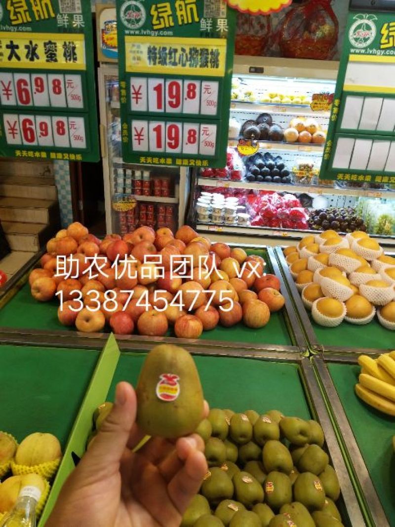 凤凰猕猴桃助农行动