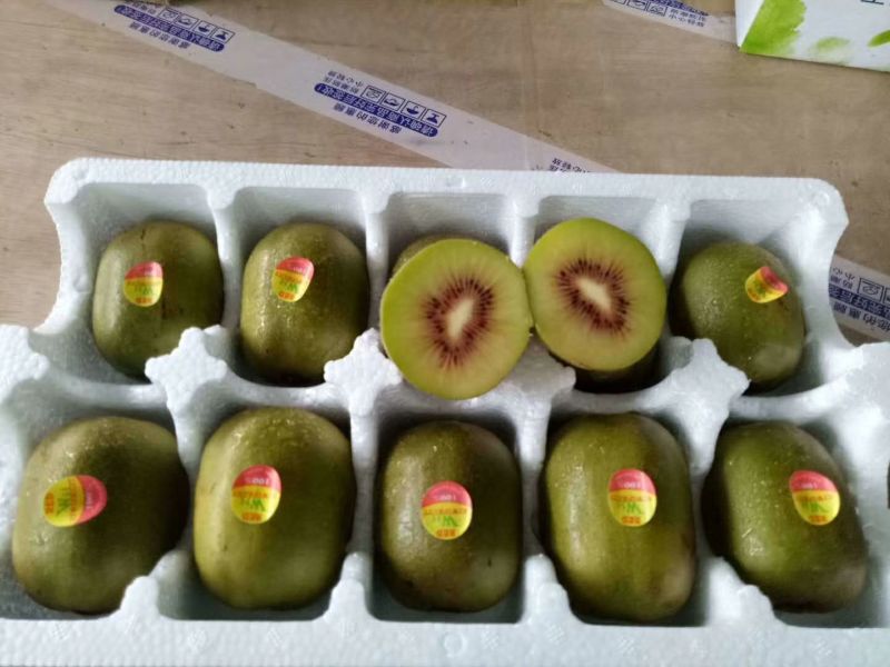 凤凰猕猴桃助农行动