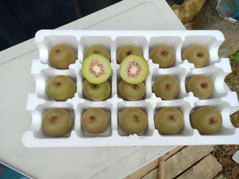 凤凰猕猴桃助农行动