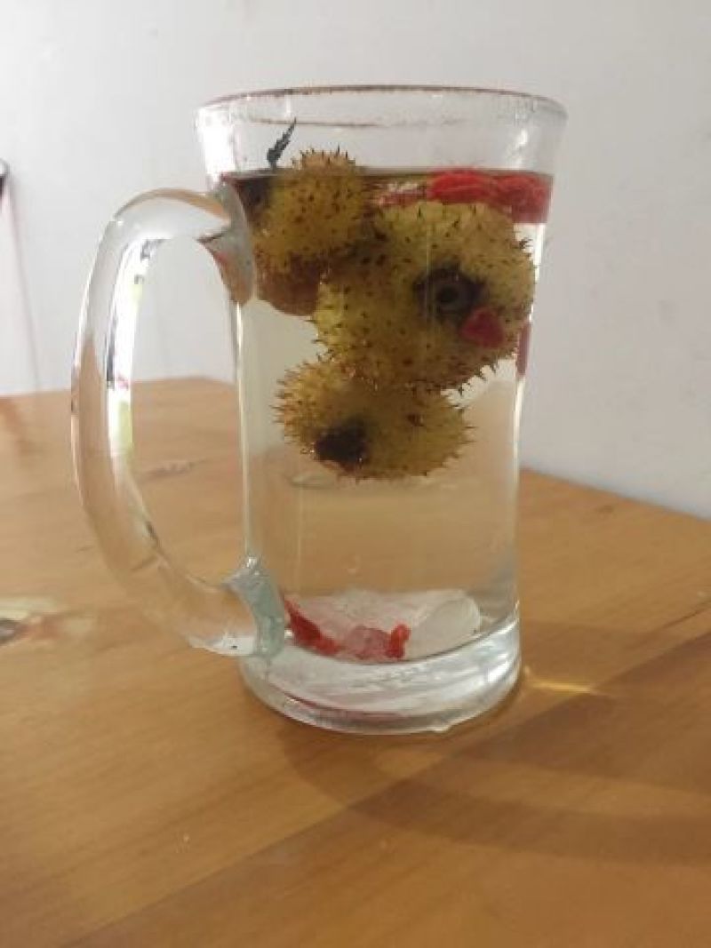刺梨子（长寿果）