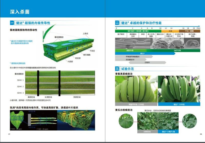 巴斯夫健达唑醚氟酰胺灰霉病炭疽病白粉病杀菌剂