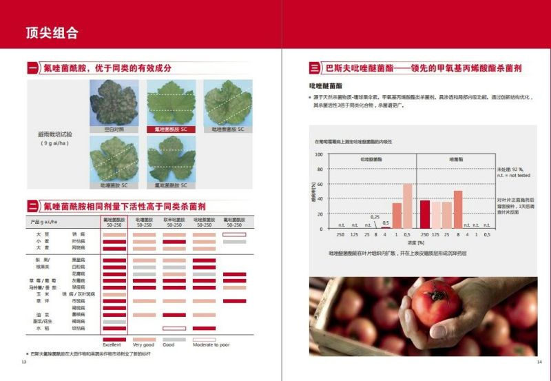 巴斯夫健达唑醚氟酰胺灰霉病炭疽病白粉病杀菌剂