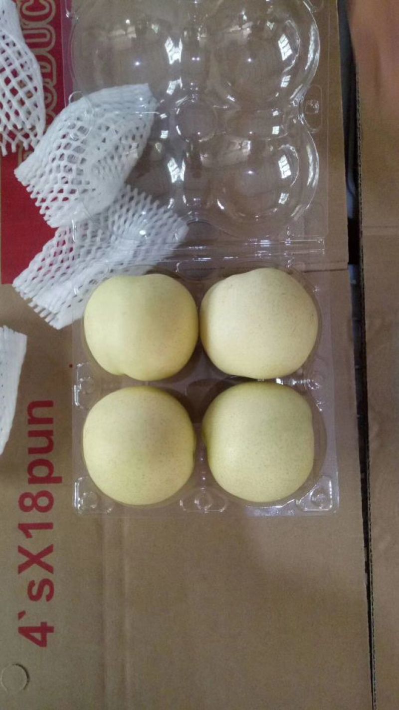 皇冠梨一级果框装质量好价格低