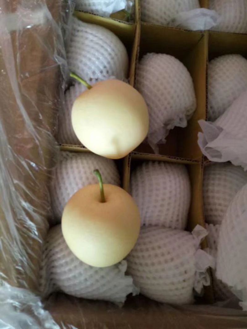 皇冠梨一级果框装质量好价格低