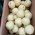 皇冠梨一级果框装质量好价格低