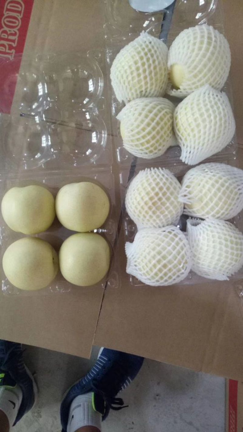 皇冠梨一级果框装质量好价格低