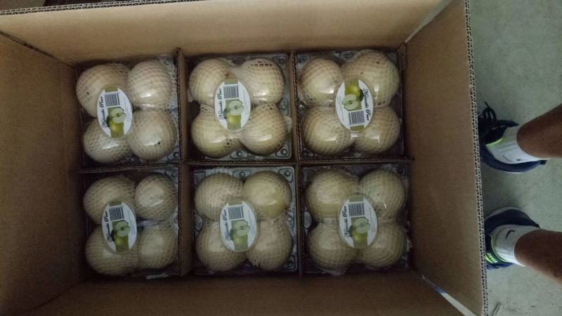 皇冠梨一级果框装质量好价格低