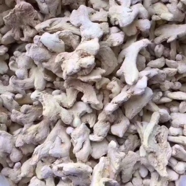 小黄姜，干姜