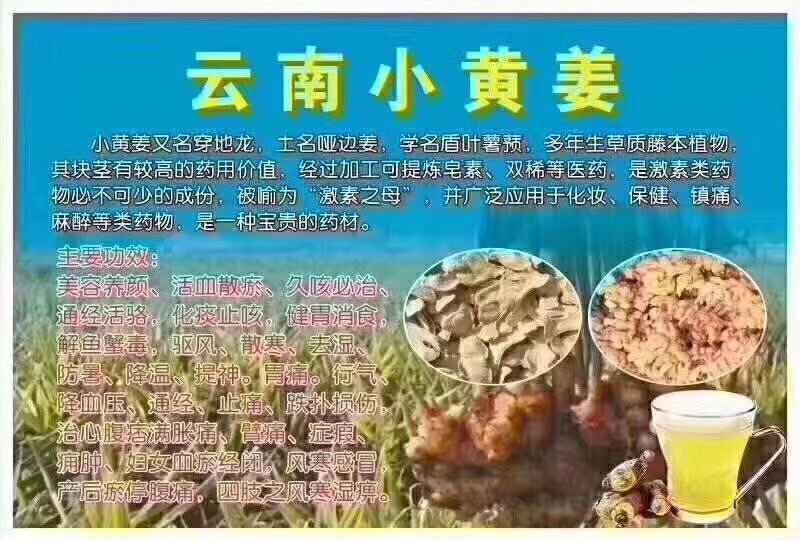 小黄姜，干姜