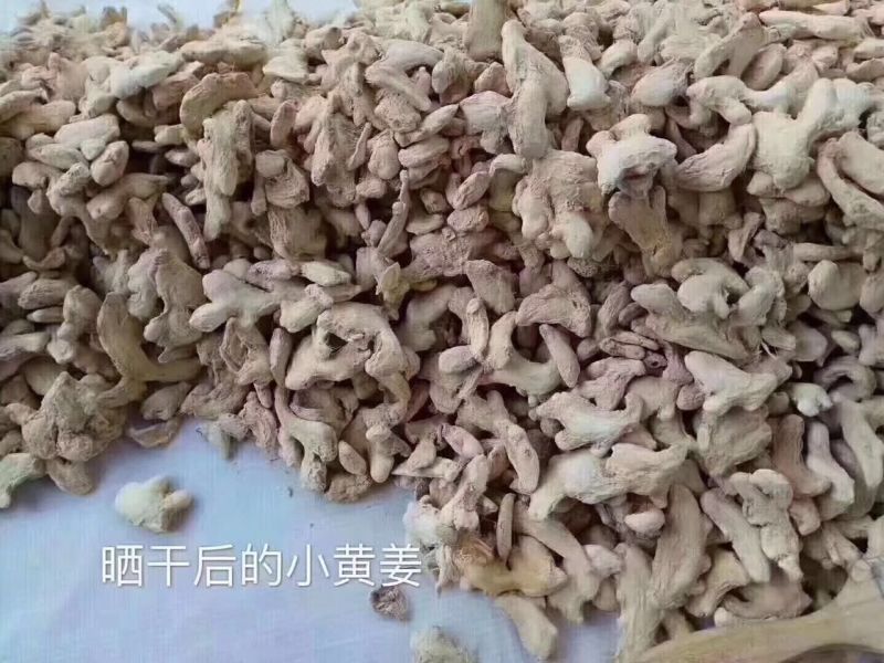 小黄姜，干姜