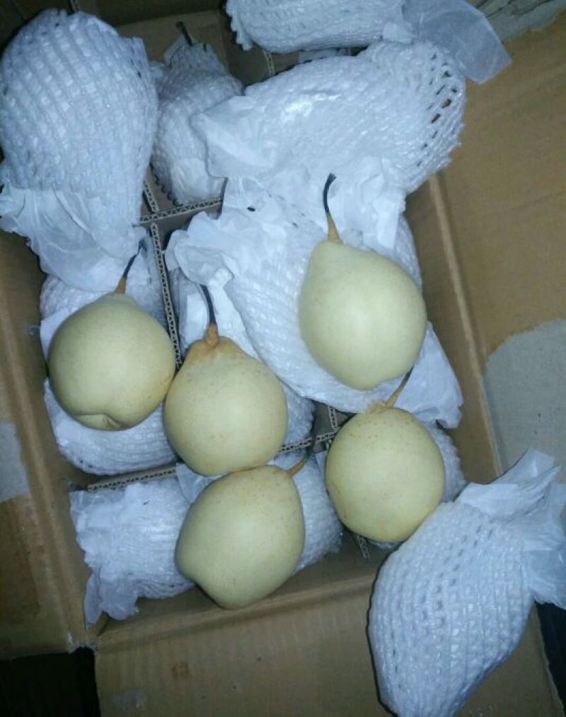 鸭梨纸袋膜袋大量出售