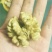 青皮核桃青皮40mm以上湿