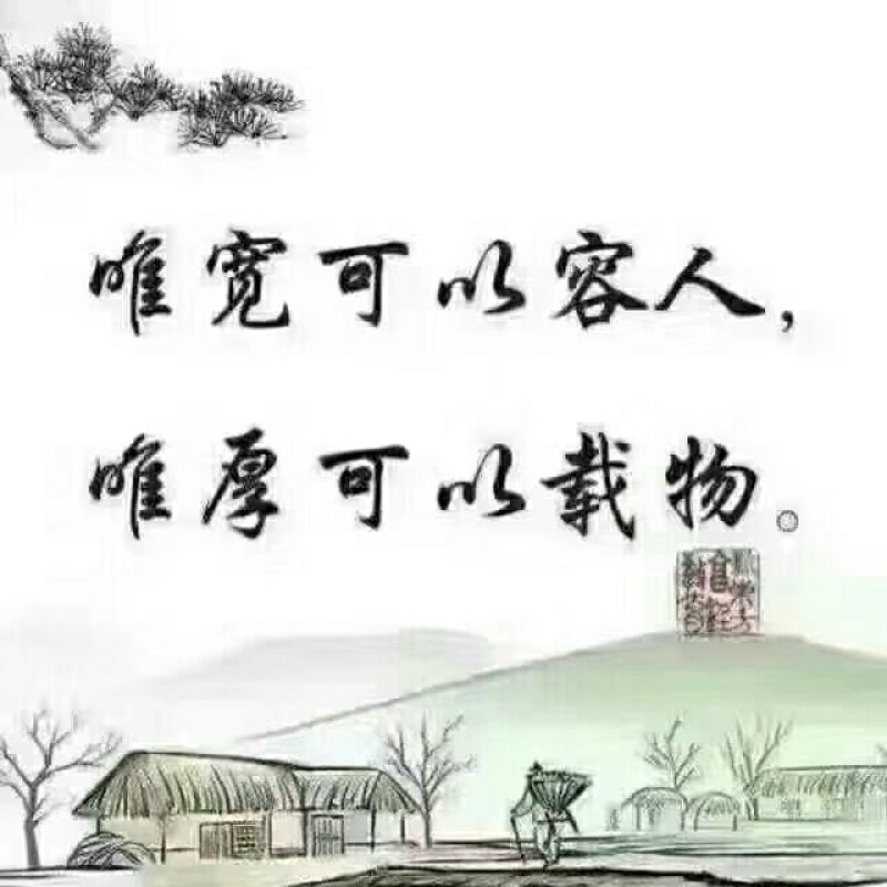 出售玉米