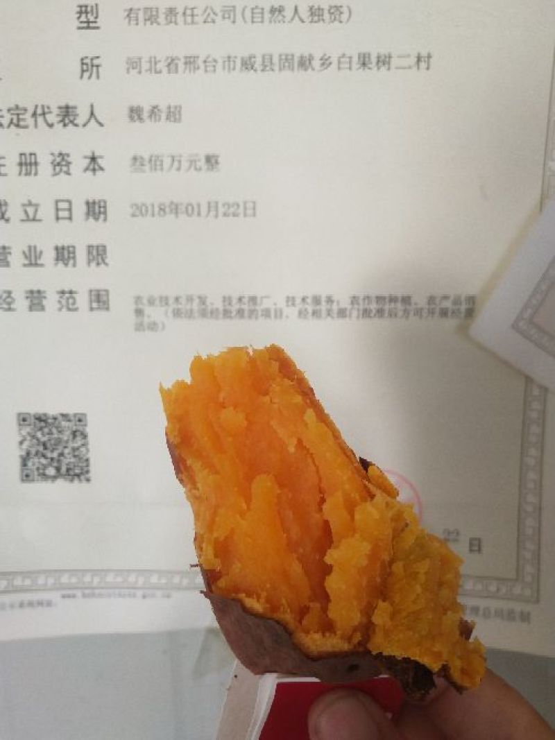 沙土地烟薯25红皮红心，