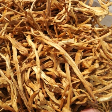 甘肃庆阳二零二四年干黄花菜，规格齐全，全国发货，欢迎咨询