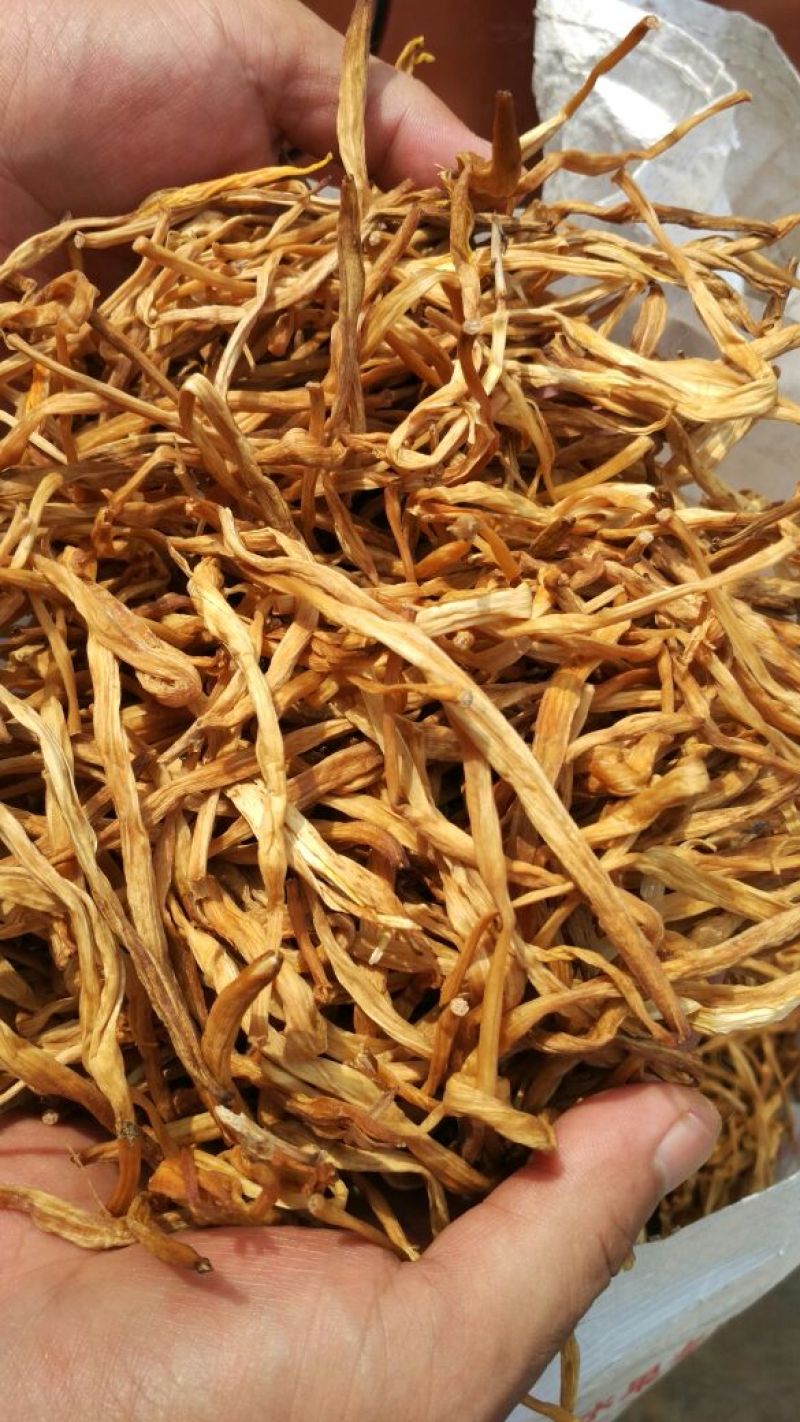 甘肃庆阳二零二四年干黄花菜，规格齐全，全国发货，欢迎咨询