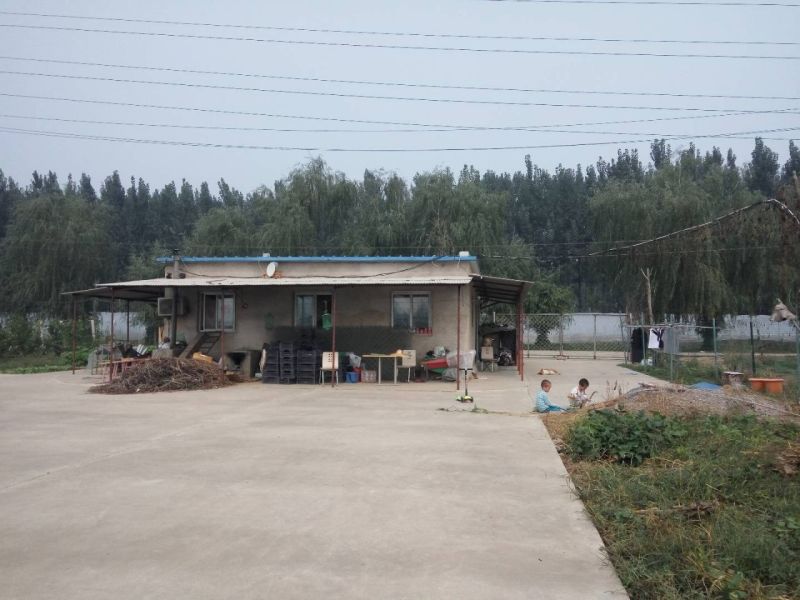 免转让费出租北京通州漷县镇50亩葡萄园