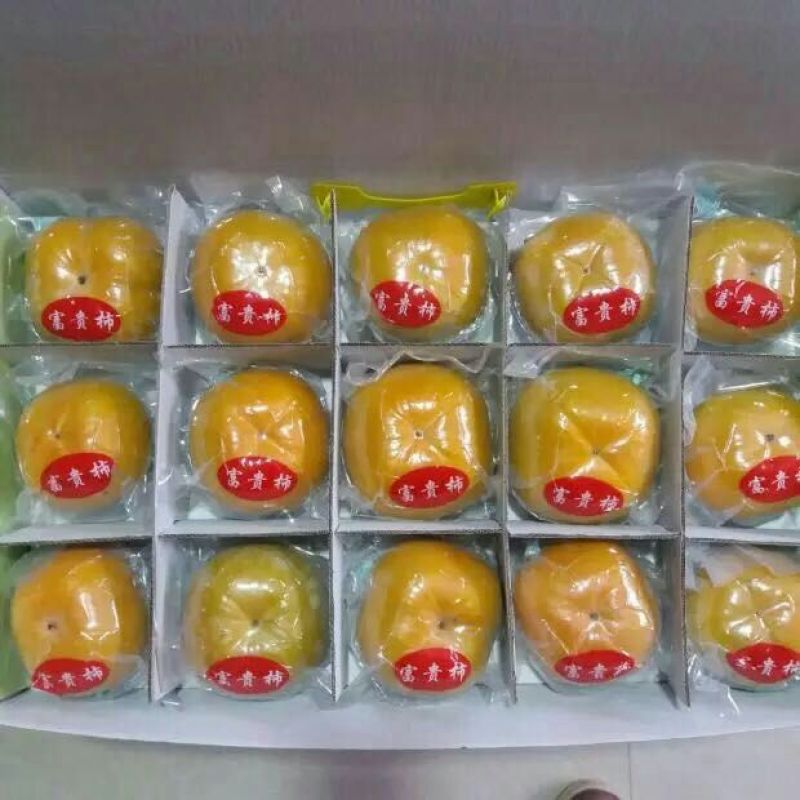 恭城脆柿