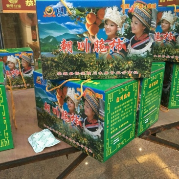 恭城脆柿